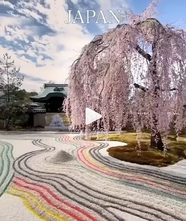 Bellezas de Japón.️ Feliz viaje de autodescubrimiento y despertar.