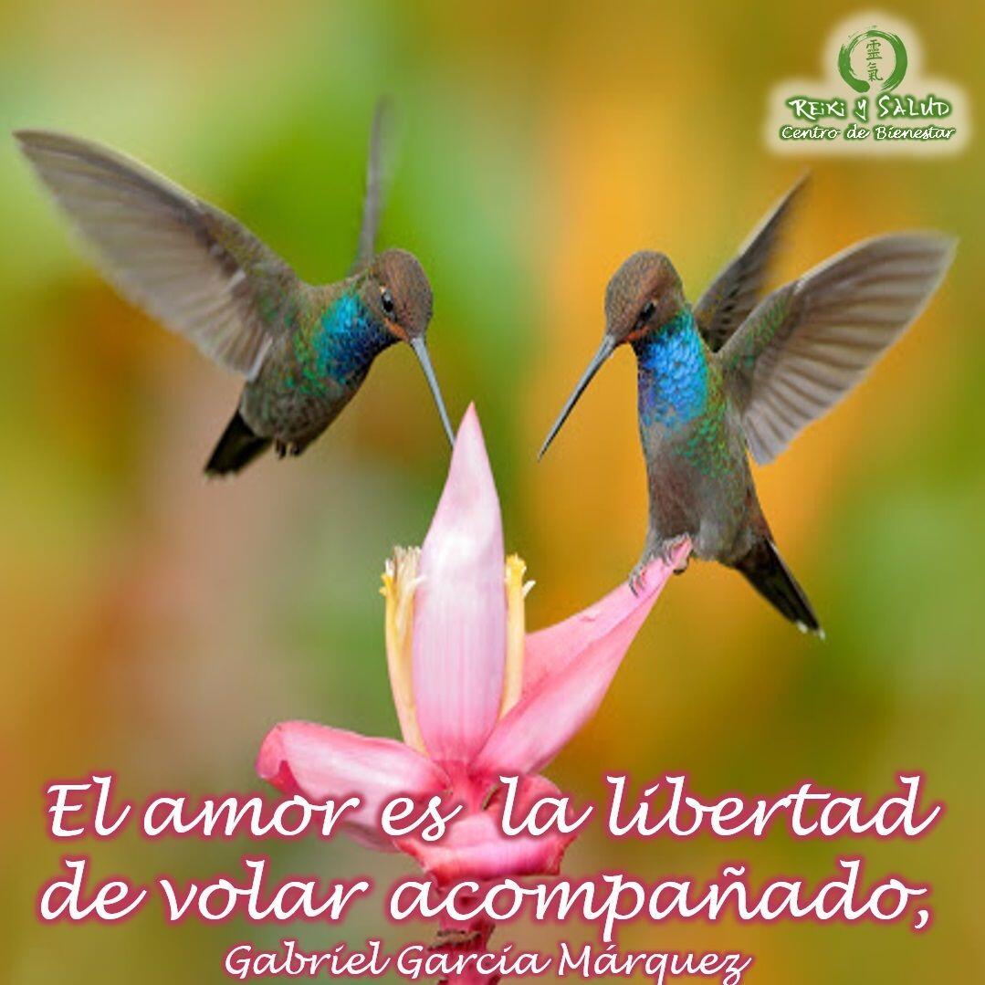 El amor es la libertad de volar acompañado, Gabriel Garcia Márquez.️ Feliz  viaje de auto descubrimiento y despertar. - Casa Reiki y Salud