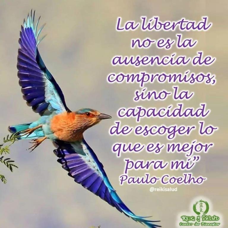 La libertad no es la ausencia de compromisos, sino la capacidad de escoger lo que…