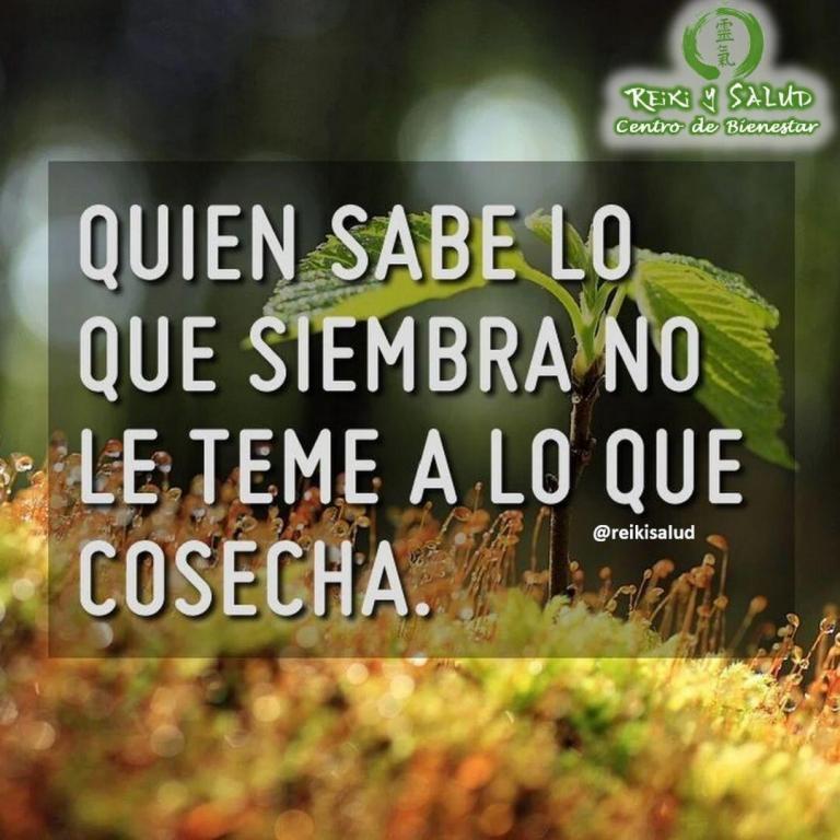 Quien sabe lo que siembra no le teme a lo que cosecha. ¿Qué piensas de…