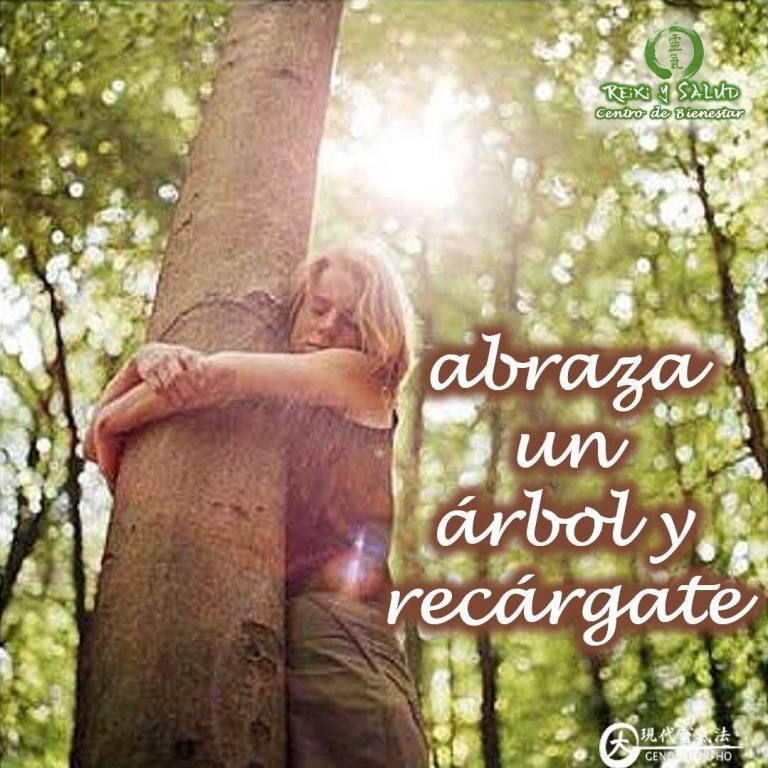 Si alguna vez te encuentras agotado, enfadado o tenso, busca y abraza un árbol. Elige…