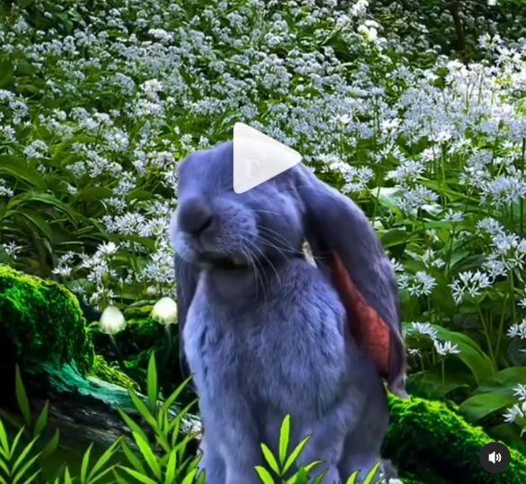 Ya huele a primavera.️ El tercer mes del año y con él llega la primavera…