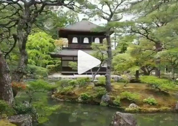 El Templo Enkoji de Kyoto (圓光寺, Enkōji) es un templo situado en el norte de…