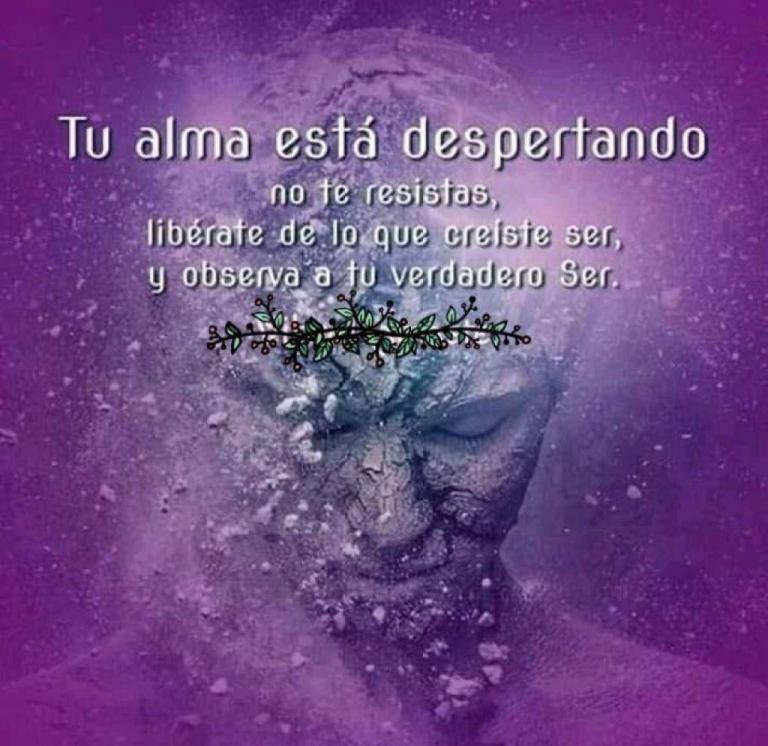 Tu alma está despertando, no te resistas, libérate de lo que creíste ser, y observa…