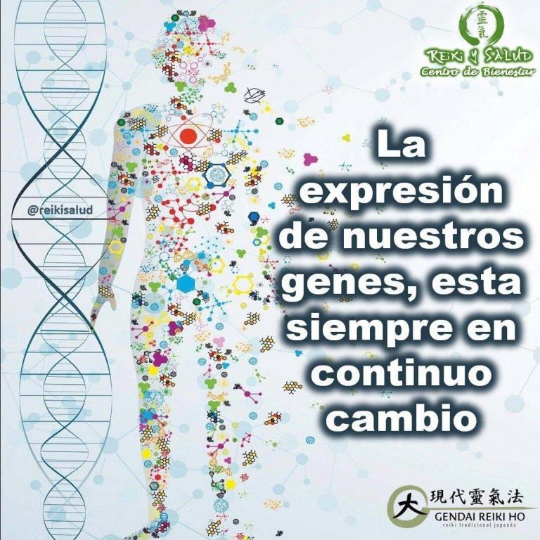 La expresión de nuestros genes, esta siempre en continuo cambio y transformación, estés o no…