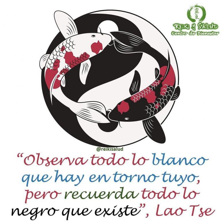 “Observa todo lo blanco que hay en torno tuyo, pero recuerda todo lo negro que…