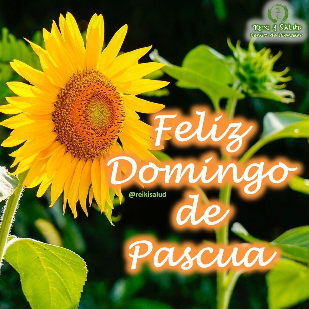 Familia Feliz día de Pascua de resurrección (Happy Easter). Que la magia de la renovación del amor de este día sea un motivo más para transformarnos y evolucionar a más altos niveles de conciencia. Celebremos la vida y renacer. La palabra Pascua (pascae en latìn, pèsaj en hebreo) significa PASO. ️ Para los católicos y cristianos, se conmemora la Resurrección de Cristo, es decir, el PASO de la muerte hacia la vida eterna. Incluso para los agnósticos significa la supremacía del espíritu por sobre la materia. Desde Casa Reiki y Salud, independientemente de tus creencias, les deseamos de todo corazón a reflexionar lo importante de seguir evolucionando, de lo que significa dar un nuevo paso para cada uno de nosotros. A continuación, comparto con ustedes algunas acciones y rutas que pudieran resonar con ustedes, identifica cual o cuales son las tuyas y da el paso:De la resignación a la acción;De la indiferencia a la solidaridad;De la queja a la búsqueda de soluciones y el agradecimiento;De la desconfianza al abrazo sincero;Del miedo al coraje de volver a la ruta del amor;De recoger sin vergüenza los trozos de sueños rotos y volver a empezar;De la autosuficiencia a compartir el fracaso y los éxitos;De la enfermedad a la salud;De hacer las paces con nuestro pasado para asegurar bienestar y éxito en el presente;🌞 Atrévete a iluminar el mundo, con la confianza que si necesitas apoyo, el apoyo siempre, siempre, siempre aparecerá.Con toda la certeza que, si lo CREES, lo CREAS, compartimos desde Casa Reiki y Salud, un abrazo de luz a ti y familia, con la confianza de que Dios está con nosotros y somos uno con la conciencia universal. Casa Reiki y Salud, una caricia para el alma, Felices pascuas.Gracias, gracias, gracias, Námaste, @dinopierini.#amor #felicidad #abundancia #meditacion #vida #paz #luz #gratitud #consciencia bienestar #despertarespiritual #reikimaracaibo #reikizulia #reikivenezuela #felizdiadepascua