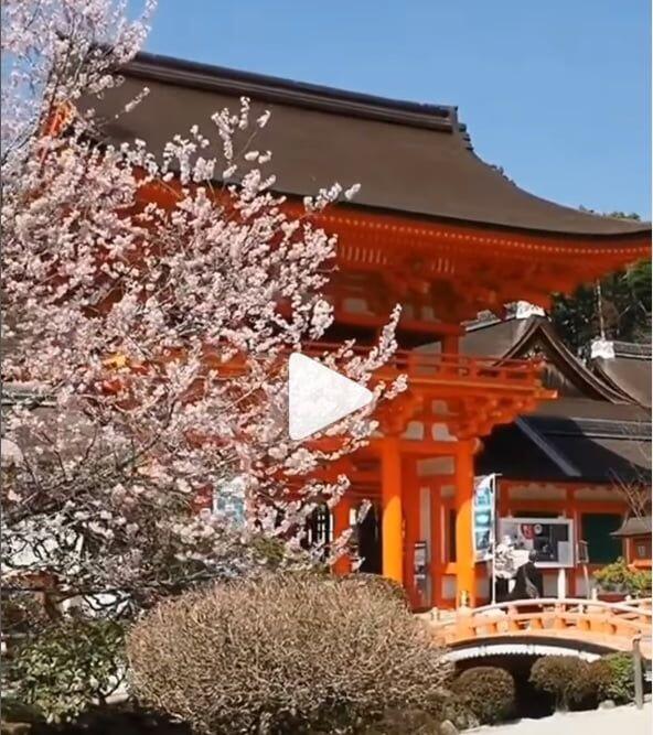 El Santuario Kamigamo (上賀茂神社 Kamigamo Jinja?) es un importante Santuario sintoísta situado cerca de las…