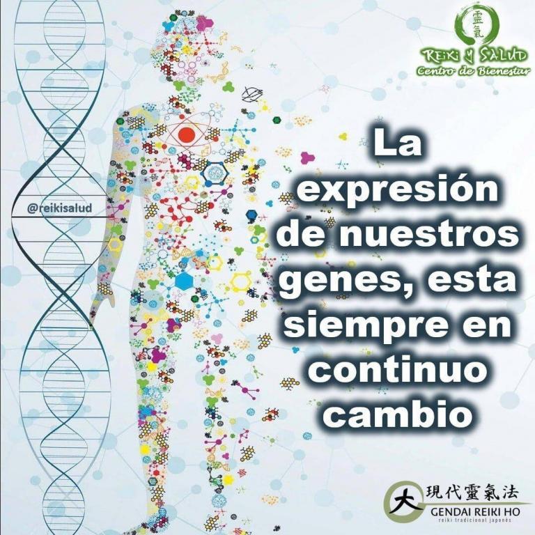 La expresión de nuestros genes, esta siempre en continuo cambio y transformación, estés o no…