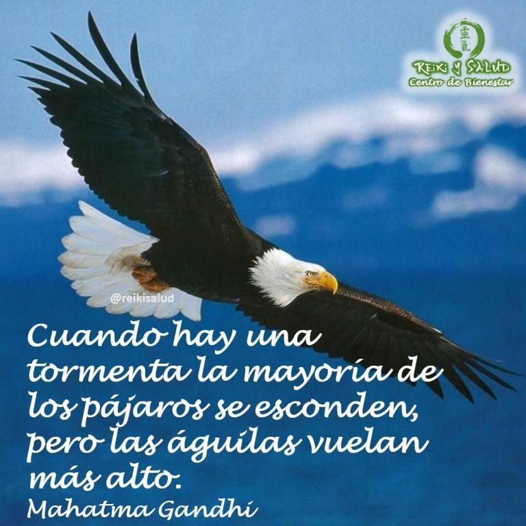 Cuando hay una tormenta la mayoría de los pájaros se esconden, pero las águilas vuelan…