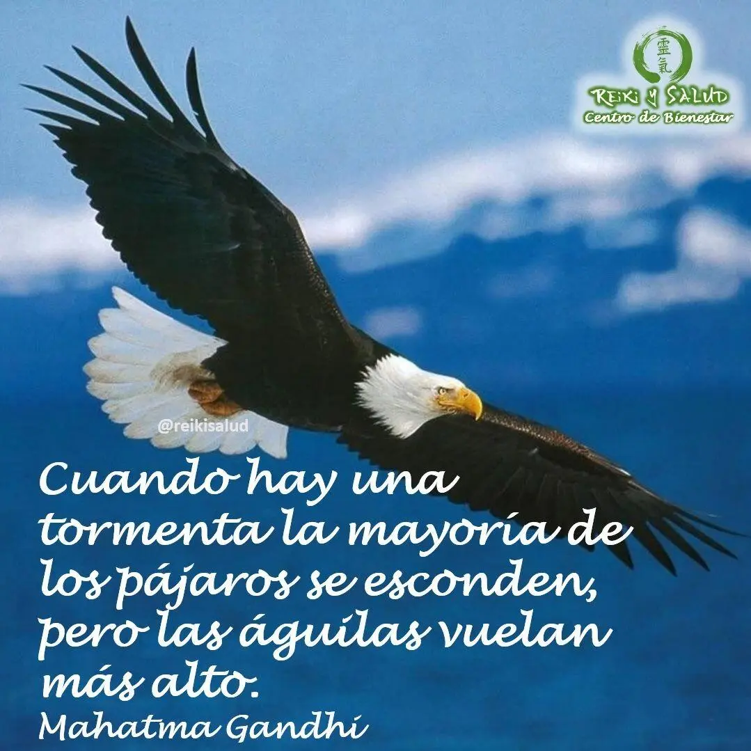 Cuando hay una tormenta la mayoría de los pájaros se esconden, pero las  águilas vuelan más alto, Mahatma Gandhi. - Casa Reiki y Salud