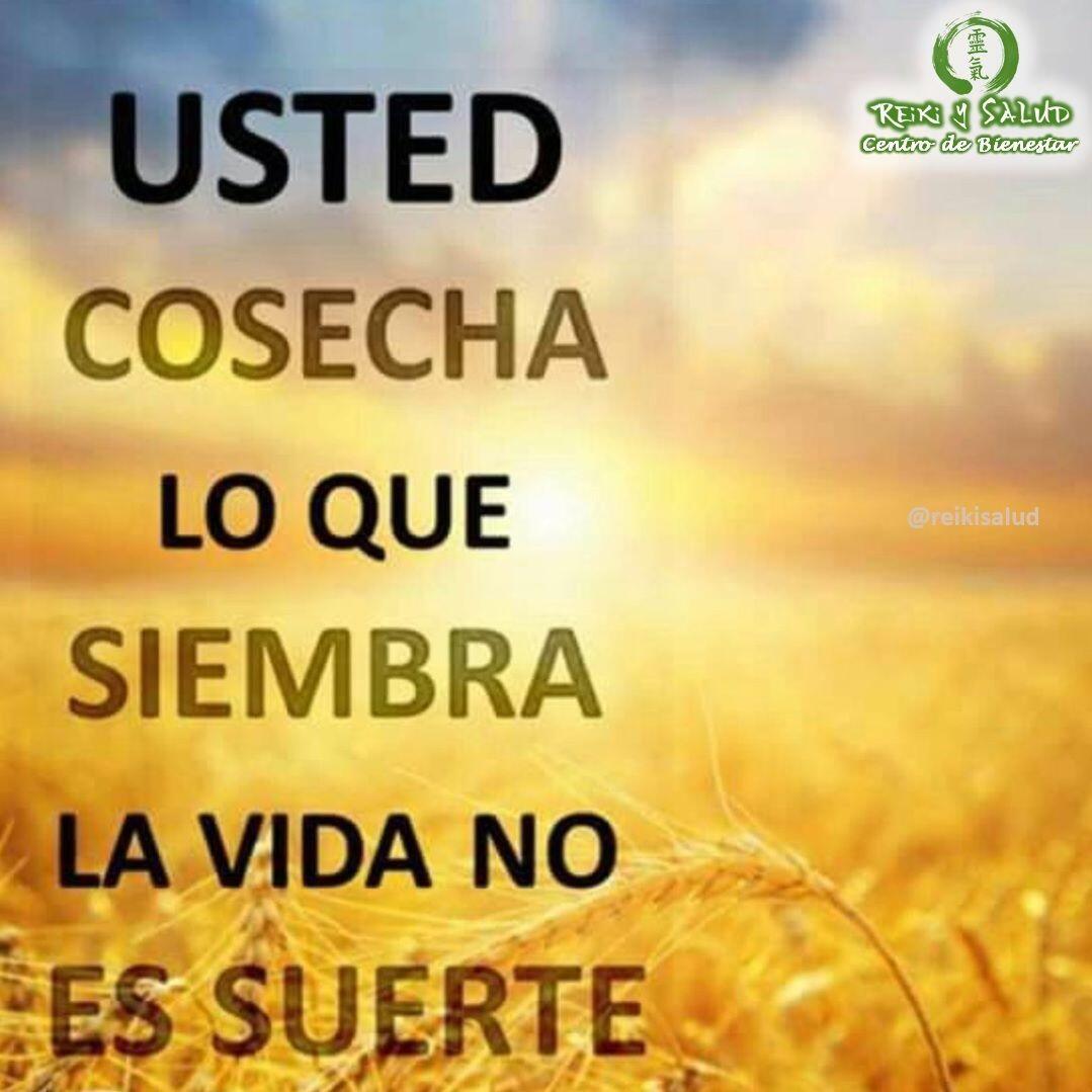 Usted cosecha lo que siembra. La vida no es suerte.No esperes manzanas si sembraste limones.Si no te gusta lo que estas cosechando, entonces debes cambiar lo que estas sembrando, empezando por tus patrones de pensamiento, emociones y sentimientos.Siempre puedes hacer un cambio, siempre es un buen momento.Feliz viaje de descubrimientoCon toda la certeza que, si lo CREES, lo CREAS, compartimos desde Casa Reiki y Salud, un abrazo de luz, con la confianza de que Dios está con nosotros y somos uno con la conciencia universal, y recuerda: ¡a sonreír, agradecer y abrazar tu vida!Gracias, gracias, gracias, un gran abrazo de luz, Namaste, @DinoPieriniSi te gusta la publicación Compártela, Comenta, Gracias, gracias gracias🌐Página WEB: www.gReiki.com#felicidad #abundancia #meditacion #vida #gratitud #reikimaracaibo #reikizulia #reikivenezuela #saludybienestar #reikisalud #reiki @reikisalud