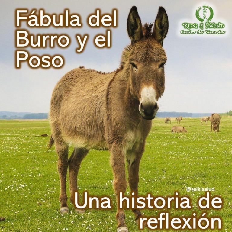 𝐅á𝐛𝐮𝐥𝐚 𝐝𝐞𝐥 𝐁𝐔𝐑𝐑𝐎 𝐲 𝐞𝐥 𝐏𝐎𝐒𝐎. Un día el burro de un campesino se cayo…