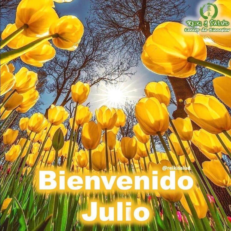 ️Bienvenido Julio. Estamos a mitad del año. Es una época propicia para revisar y redefinir…