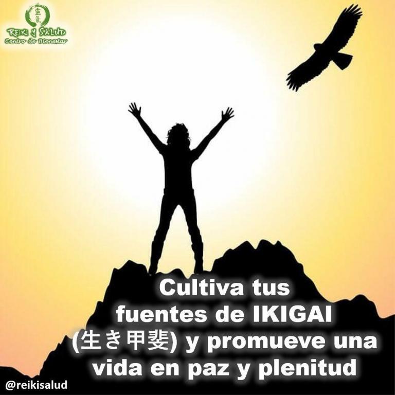 Encuentra tus fuentes de IKIGAI (生き甲斐) y promueve una vida en paz y plenitud.La palabra…