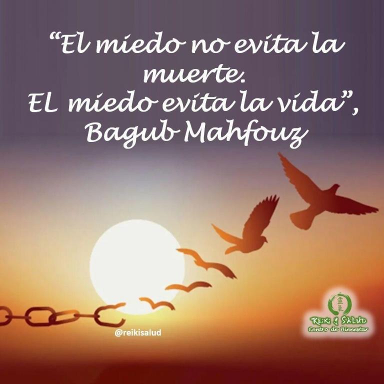 “El miedo no evita la muerte. El miedo evita la vida”, Nagub Mahfouz. Por consiguiente,…