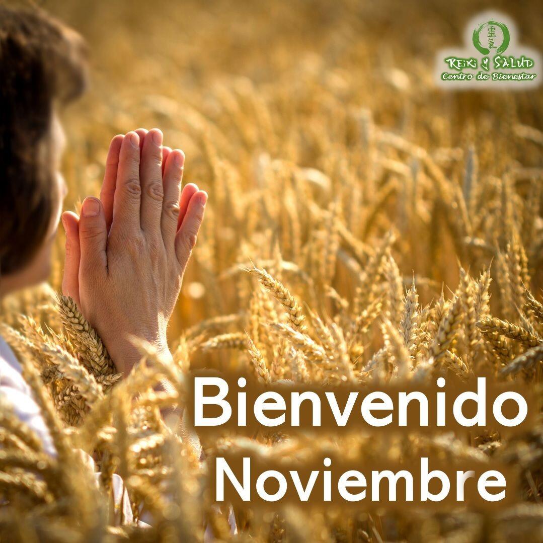 Bienvenido Noviembre. Este es un mes de consolidación de la cosecha del 2022, en preparación para el 2023.Siempre es oportuno revisar y redefinir las estrategias para consolidar la cosecha, enfocando nuestra energía en lo que queremos realmente.Es una invitación a reflexionar sobre las cosas de nuestro SER que debemos renovar, atraer o desprender.Siempre desde el agradecimiento amoroso, honrando a nuestros ancestros, para renovarnos con más energía, abundancia, salud, vitalidad y serenidad, en comunión perfecta con nuestra divinidad.Continúa trabajando en tu desarrollo que promueva la unión CUERPO, MENTE; siendo este un año que marcará un antes y un después para cada uno de nosotros, así que cuida tu siembra y tu legado; deja que brille al máximo tu talento.🌞 El 2023 será un año donde el foco deberá ser volver nuevamente a nuestra esencia, a centrarse en la vida interior, en nuestra familia, a nuestro nido, para fortalecer la familia, el amor, es tiempo de dar amor, cariño y afecto a los que comparten la vida contigo. Una nueva oportunidad de compartir su alegría y risa también con sus amigos. Es una invitación a concentrarte en las cosas que realmente importan en tu vida.Exitosa cosecha y nueva siembra, que la luz de Reiki, nos acompañe siempre, Namaste, @DinoPieriniCasa Reiki y Salud, una caricia para el alma, ampliando el circulo de luz, promoviendo una vida de felicidad y bienestar.🌐Página WEB: www.gReiki.com#espiritualidad #amor #felicidad #abundancia #meditacion #vida #paz #gratitud #bienestar #despertar #despertarespiritual #reikimaracaibo #reikizulia #reikivenezuela #saludybienestar #reikisaludhttps://www.instagram.com/p/CVvJ1-wrHN9/?igshid=MDJmNzVkMjY=