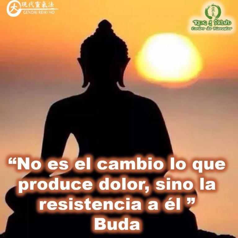 “No es el cambio lo que produce dolor, sino la resistencia a él”, Buda. ¿Por…