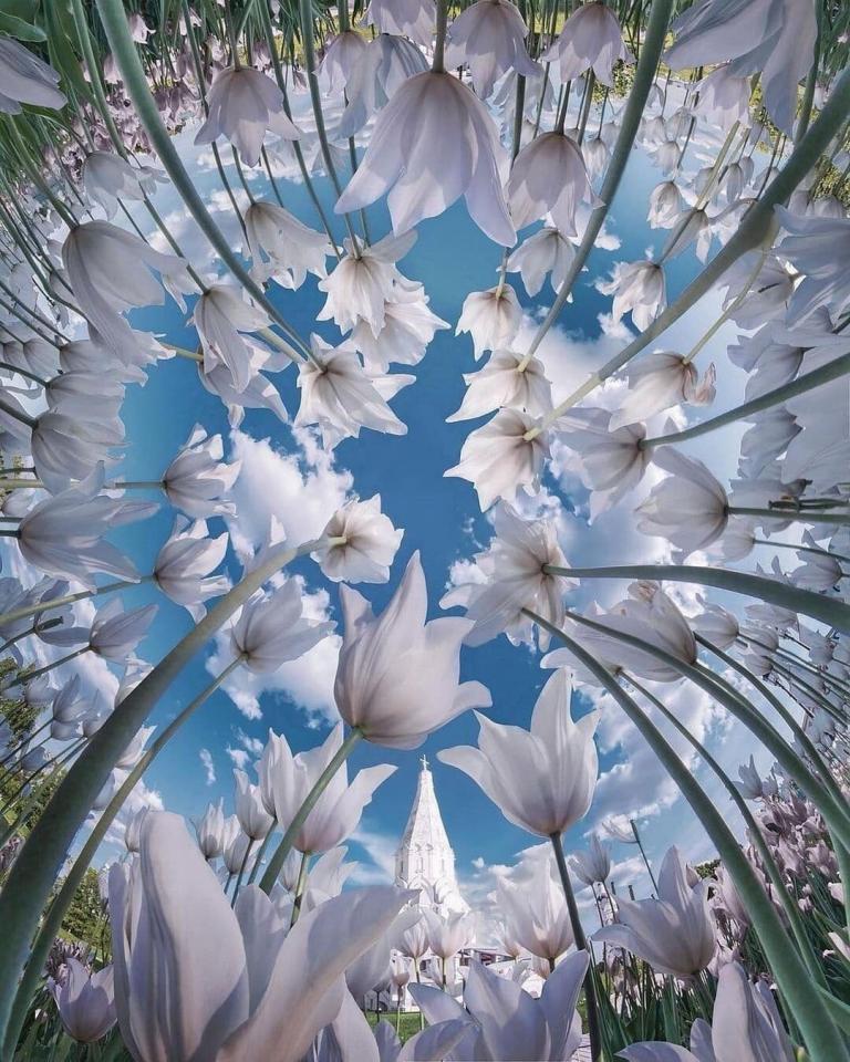Para sanar y despertar, debemos solo abrir los ojos, dejándonos fluir con nuestra naturaleza, esencia…