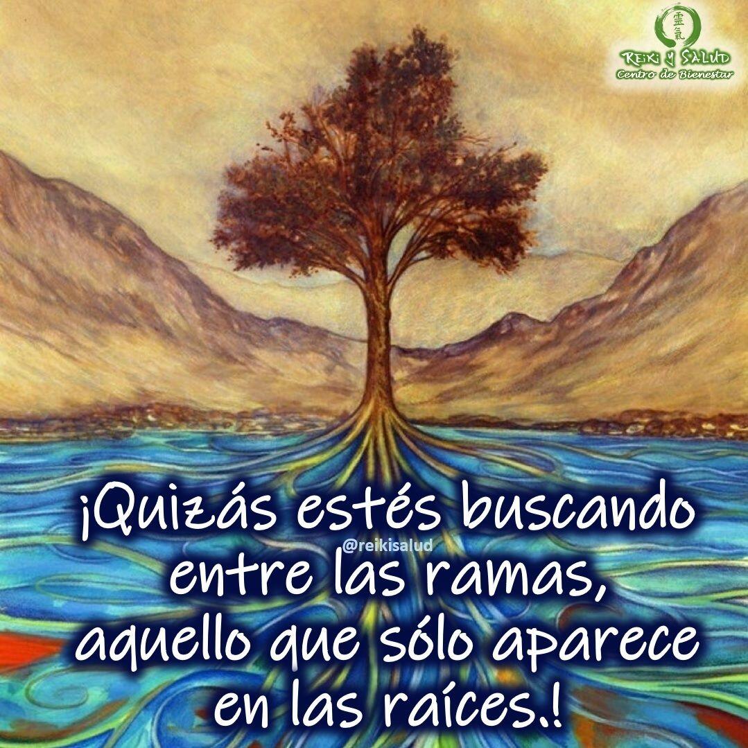 ¡Quizás estés buscando entre las ramas, aquello que sólo aparece en las raíces!!Si bien es cierto el árbol y sus raíces, nos proporcionan fortalezas, hay situaciones que se nos presentan de forma repetida en nuestra vida, que no solo están asociados a nuestros pensamientos y emociones del presente. Hay momentos que debemos buscar los programas ancestrales que vienen de nuestras raíces, para poder promover una sanación profunda.Trabajar con nuestro árbol, es una labor bella, de conocer y reconocer cada una de sus experiencias y ancestros, de manera de entender nuestras fortalezas y anclajes limitantes, que nos han potenciado o afectado o pueden potenciar o afectar a las siguientes generaciones.CFeliz viaje de autodescubrimientoCon toda la certeza que, si lo CREES, lo CREAS, compartimos desde Casa Gendai Reiki Ho, un abrazo de luz, con la confianza de que Dios está con nosotros y somos uno con la conciencia universal.Casa Reiki y Salud, una caricia para el alma, ampliando el circulo de luz, promoviendo una vida de felicidad y bienestar.Gracias, gracias, gracias, Námaste, @dinopieriniSi te gusta la publicación Compártela, Etiqueta a Otros, Gracias, gracias gracias🌐 Página WEB: www.gReiki.com#espiritualidad #amor #felicidad #abundancia #meditacion #vida #paz #frases #love #luz #gratitud #crecimientopersonal #consciencia #alma #bienestar #inspiracion #despertar #despertarespiritual #reikimaracaibo #reikizulia #reikivenezuela