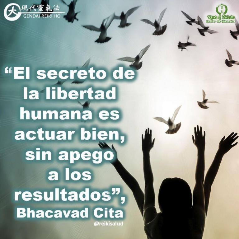 “El secreto de la libertad humana es actuar bien, sin apego a los resultados”, –…