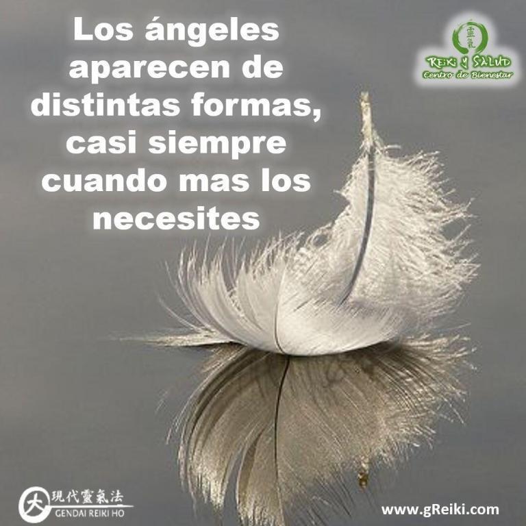 Los ángeles aparecen de distintas formas, casi siempre cuando más los necesites. Solo tienes que…