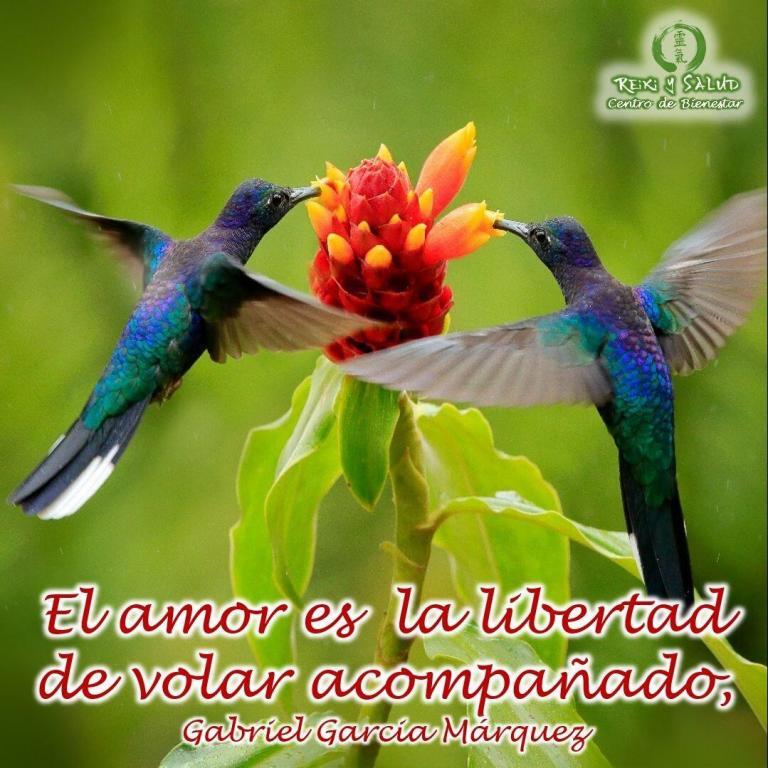 El amor es la libertad de volar acompañado, Gabriel García Márquez.️