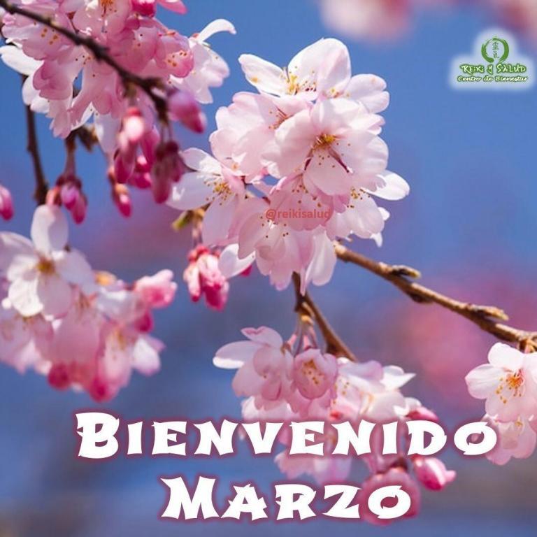 Bienvenido MARZO. ¡Feliz marzo de 2023! El tercer mes del año y con él llega…