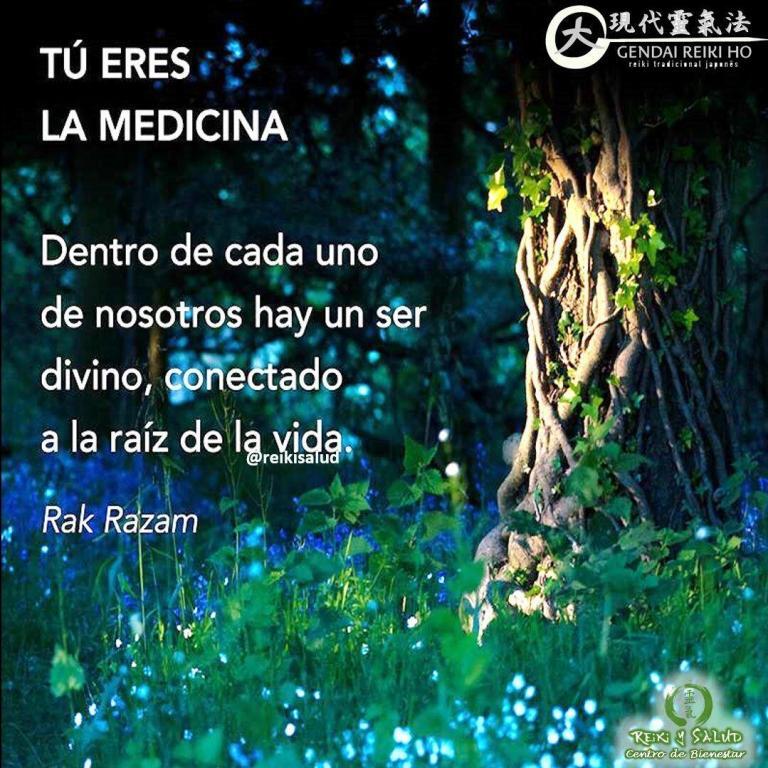 Tú eres la medicina. Dentro de cada uno de nosotros hay un ser divino, conectado…