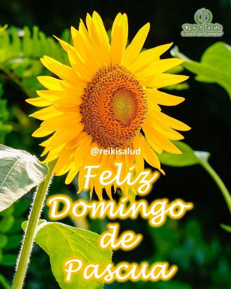 Familia Feliz día de Pascua de resurrección (Happy Easter). Que la magia de la renovación…
