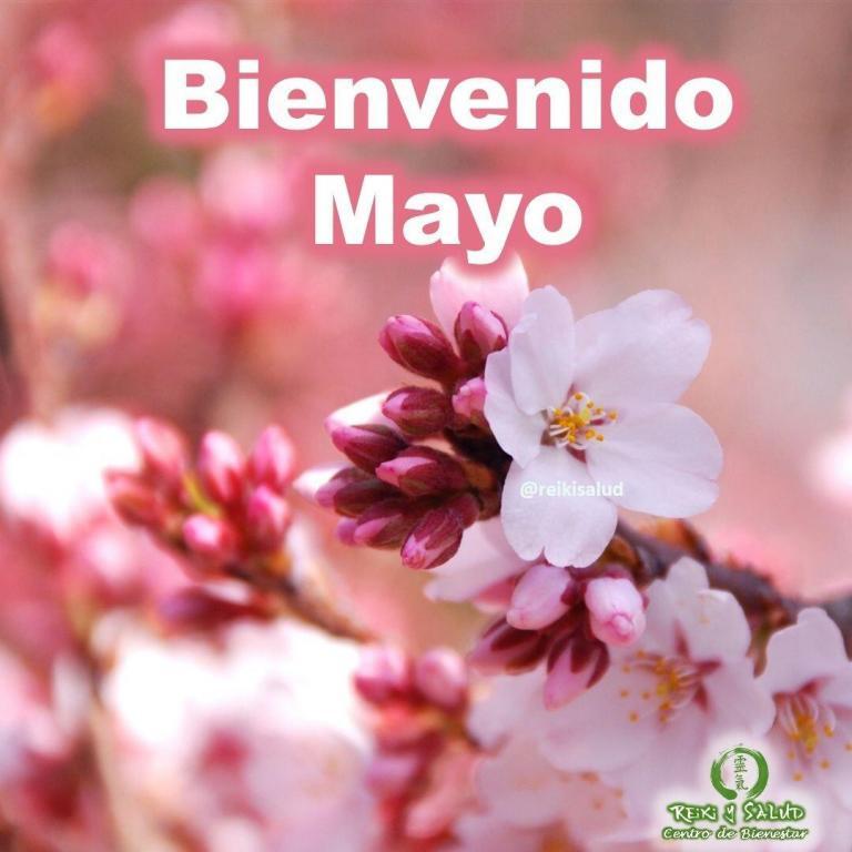 🌞Bienvenido MAYO, trayendo consigo más abundancia y prosperidad para todos, reforzando nuestro camino de paz…
