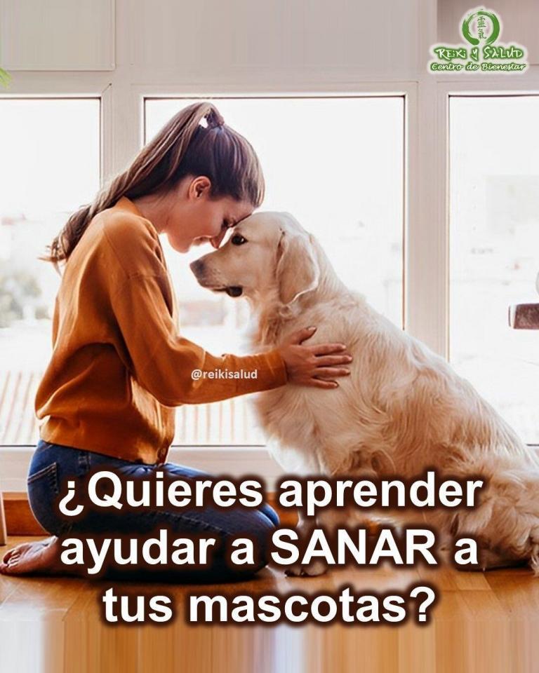 ¿Quieres aprender ayudar a SANAR a tus mascotas?. El Reiki para mascotas, la ayuda energética…