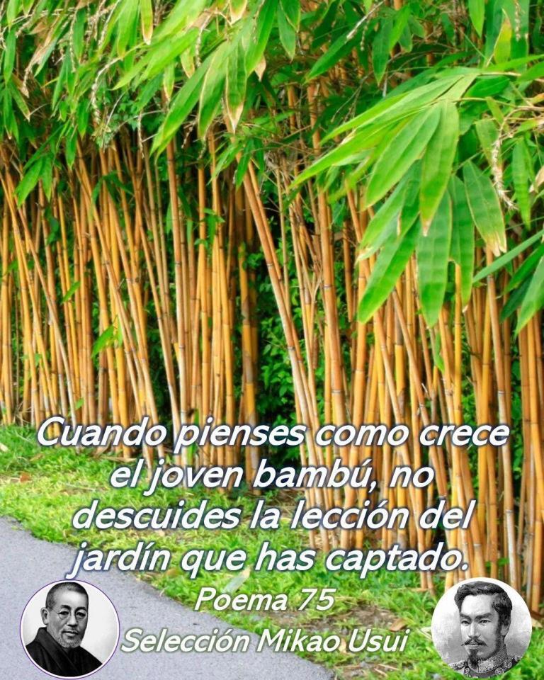 Cuando pienses como crece el joven bambú, no descuides la lección del jardín que has…