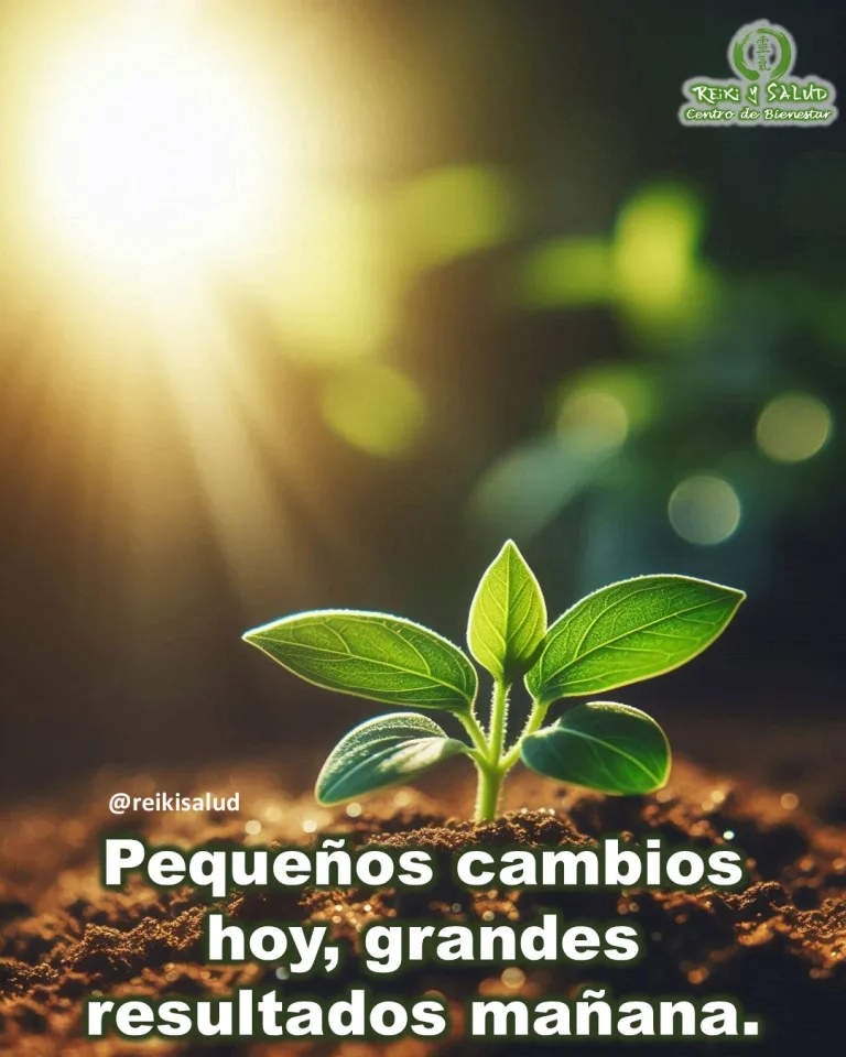 Pequeños cambios hoy, grandes resultados mañana.