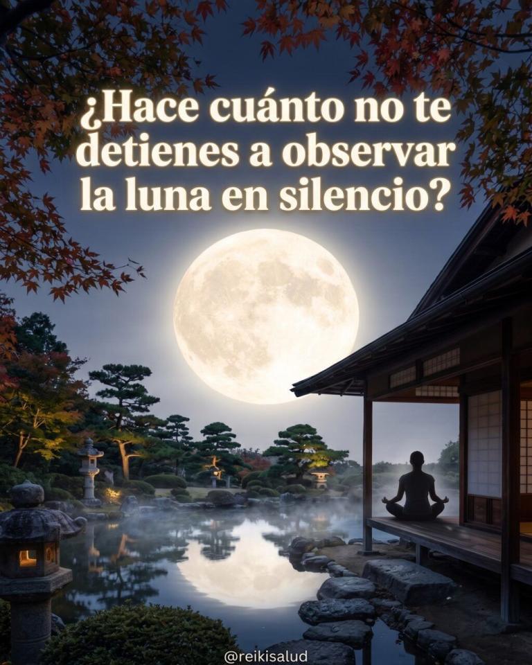 ¿Hace cuánto no te detienes a observar la luna en silencio?